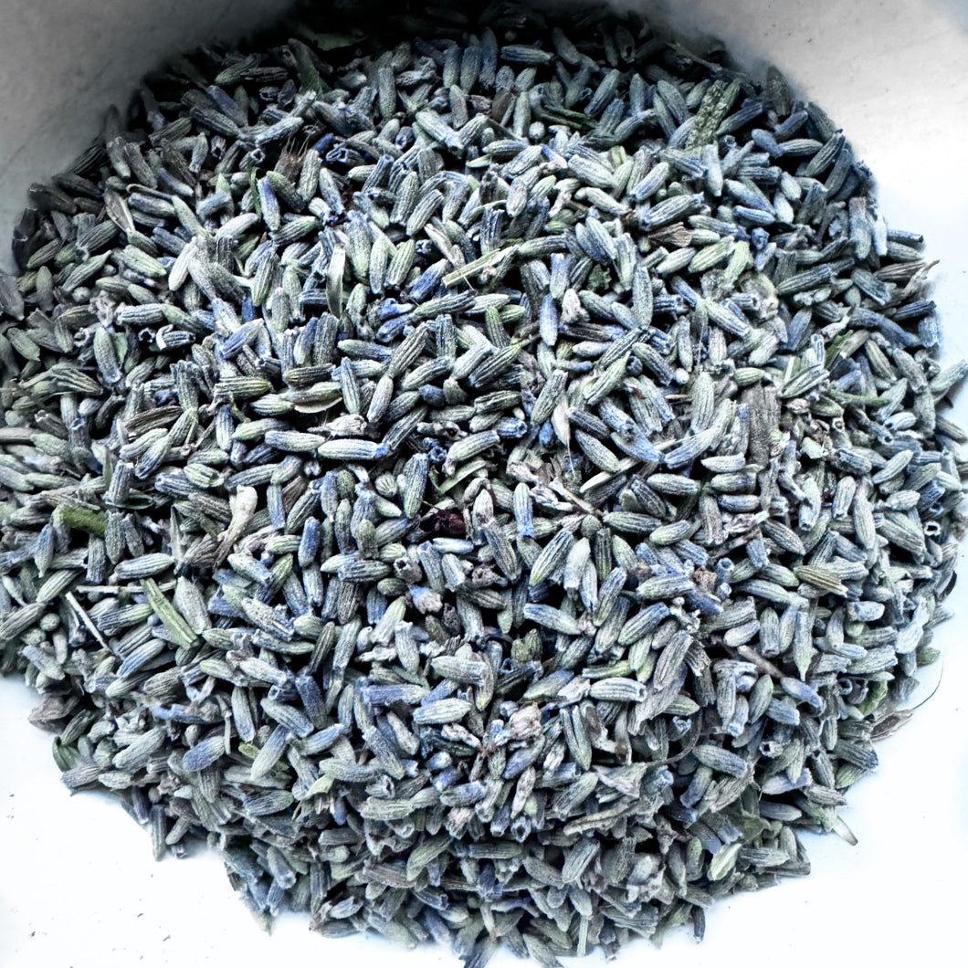 French Lavender - Organic